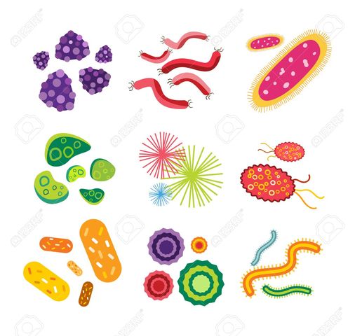 Microorganisms