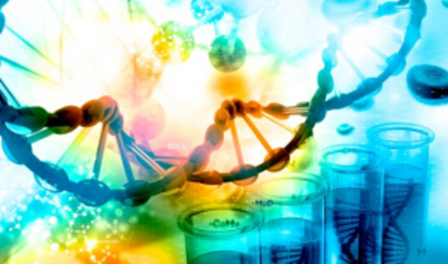 DESCIFRADO EL CODIGO GENETICO