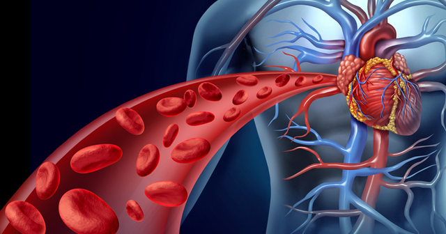 CIRCULACION DE LA SANGRE