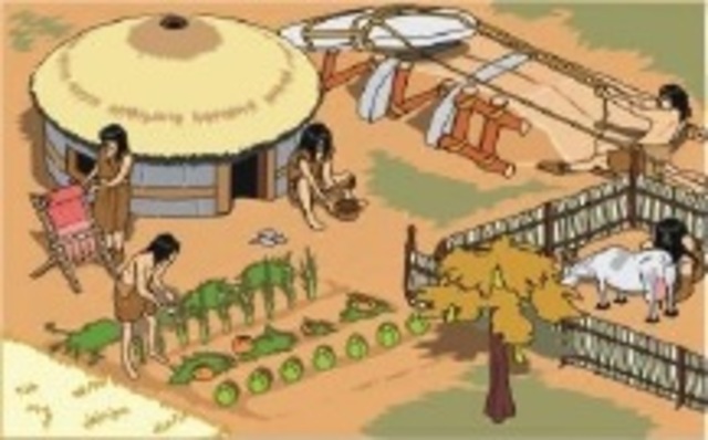 Cultivando la tierra!!