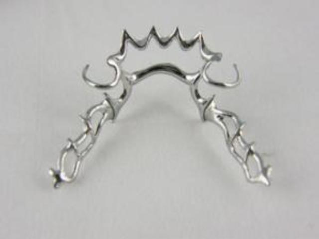 Edad Contemporanea Biocompatibilidad