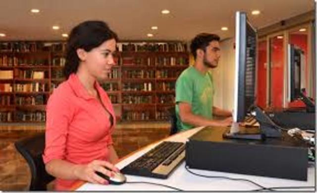 Los servicios electrónicos de consulta