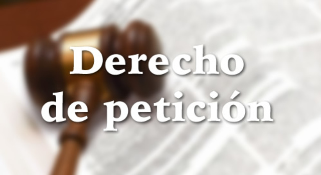 peticion de derechos