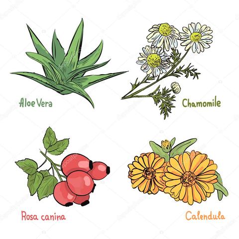 Concepción Tradicional