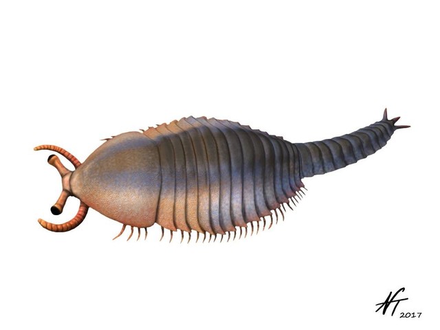 El surgimiento del primer cerebro