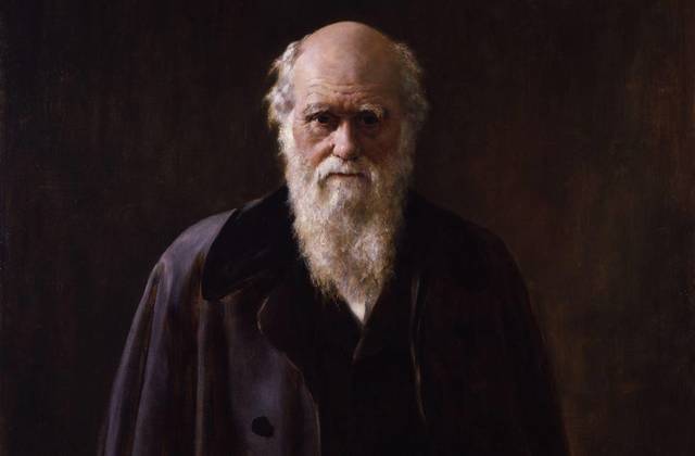 Darwin