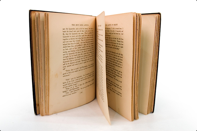 ¿cuáles fueron los primeros productos oficiales que se vendieron a través de Internet?