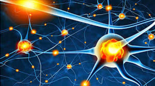 Precursor de las redes neuronales