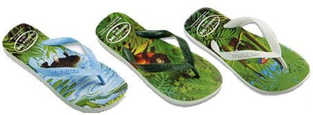 Posicionamento ecológico