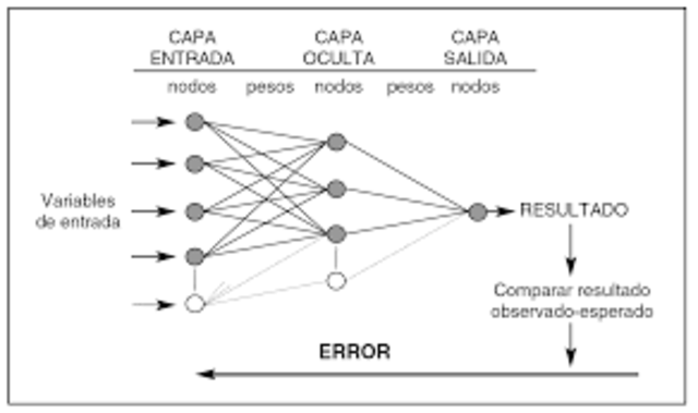 Precursores de las redes neuronales computacionales