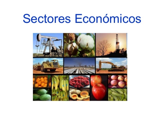 Sectores económicos