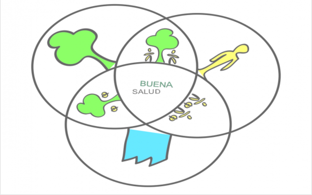 Proceso de salud según Dever