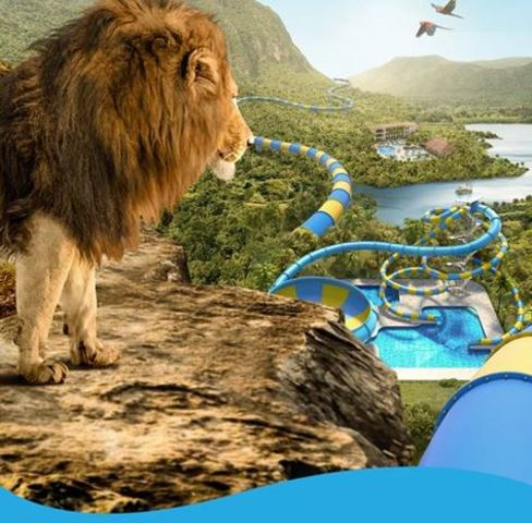 Fundación Piscilago.