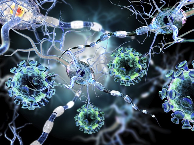 Primeros seres vivos