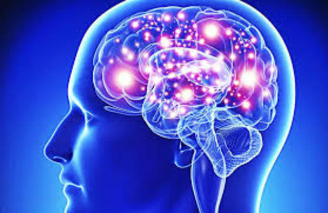 Termino neurociencias