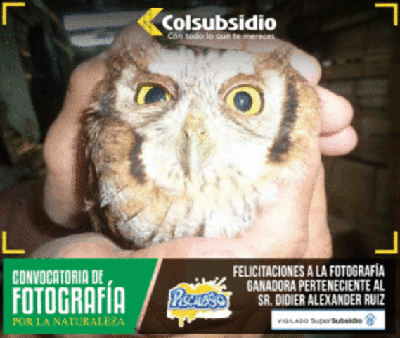 GANADOR CONVOCATORIA DE FOTOGRAFÍA POR LA NATURALEZA