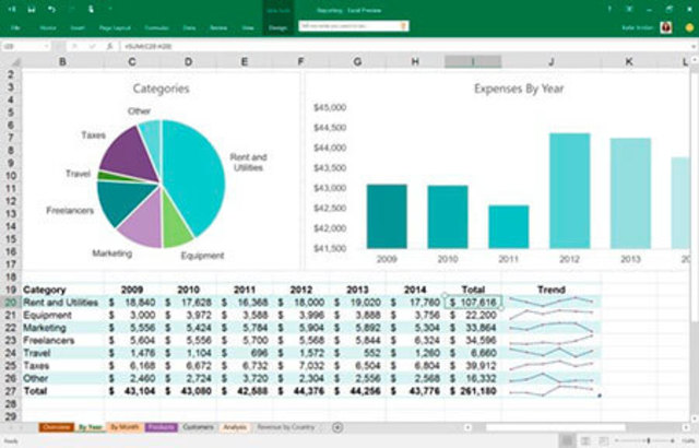 MICROSOFT EXCEL  16.0