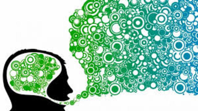 Establecimiento Sociedad