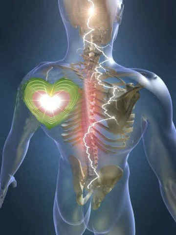 Procesos Fisiológicos