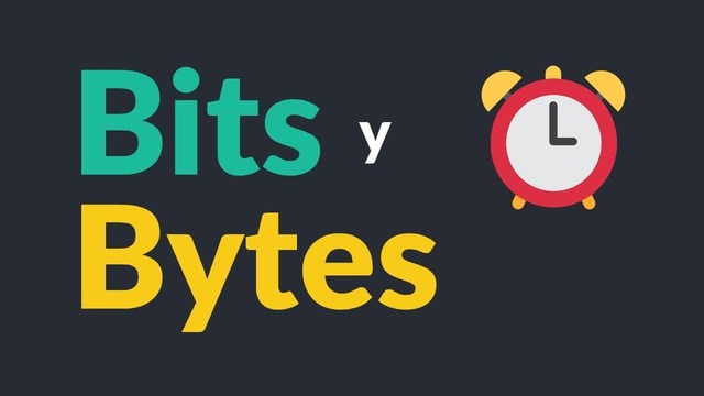 ¿Qué son los bytes y bits?
