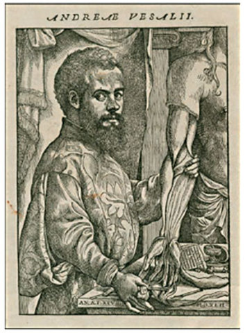 Andreas Vesalius   (Scielo 2007 Rafael Romero Reverón)
