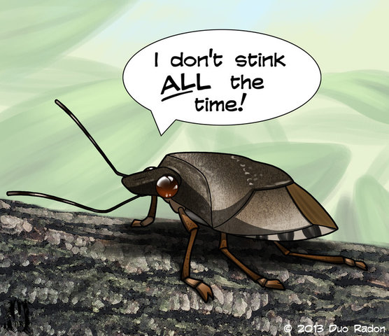 Stinkbug