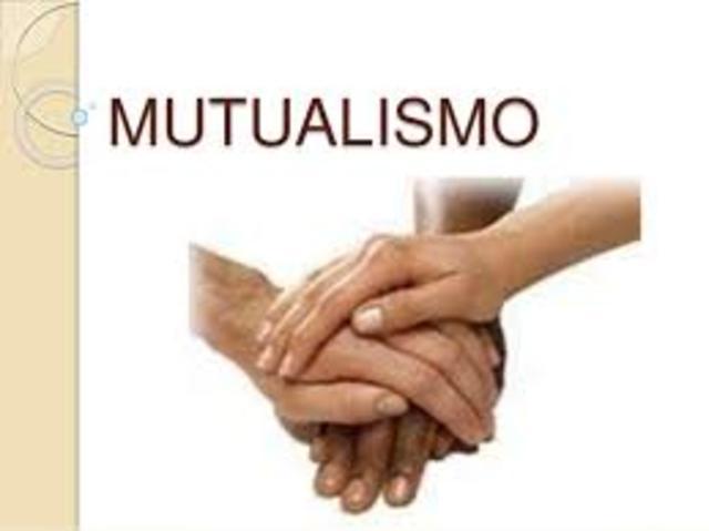 Mutualismo Obrero