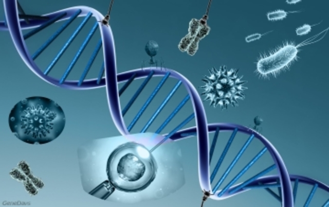 David Smith acuñó el término "dismorfología" en el estudio de malformaciones humanas