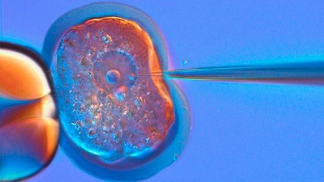 Aislamiento del primer gen individual