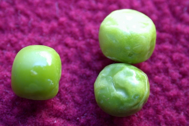 Inicio de la Genética clásica