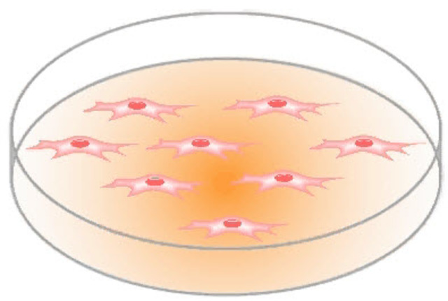 Georges J. F. Köhler y César Milstein