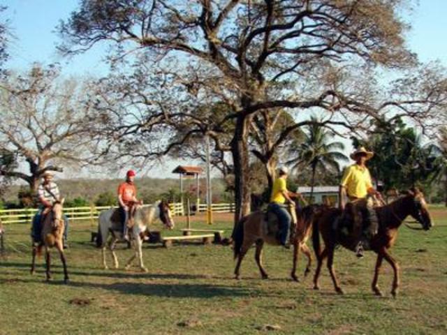 Sistemas de Producción