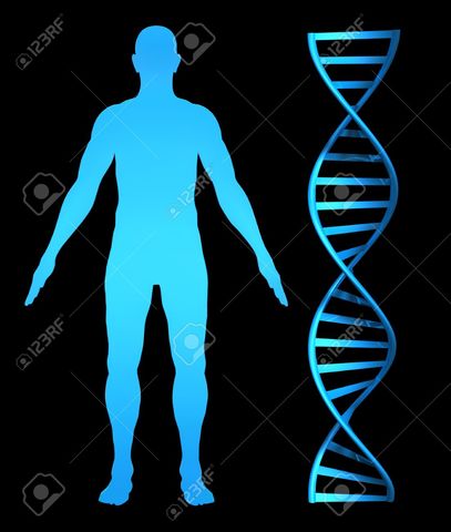 Se completa el HGP 3 años antes de lo planeado