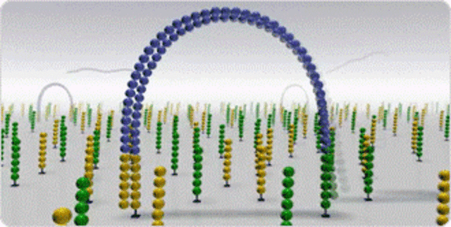 Secuenciación de nueva generación