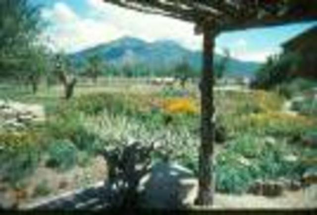 The first settlement