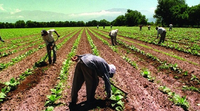 Programa de Inversiones para el Desarrollo Rural