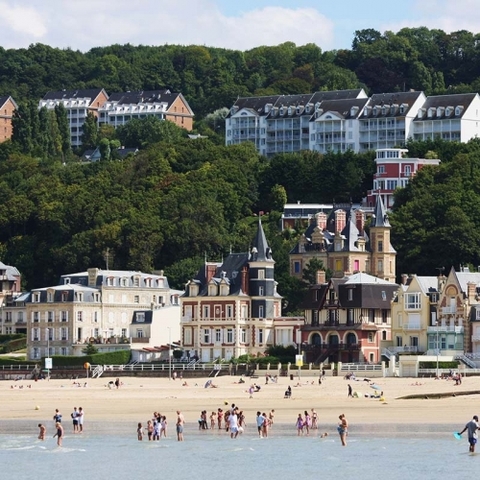 "Que comience el show"