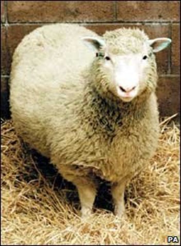 Baaaaaaaaaaa Baaaaaaaaaaaaaa