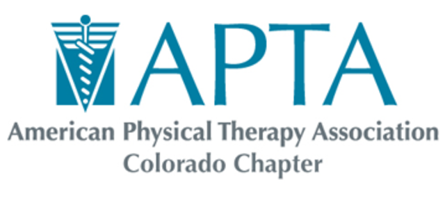 American Physical Therapy Association