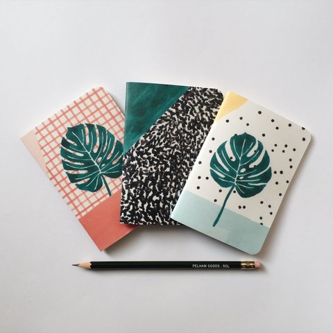 Turismo Rural como materia.