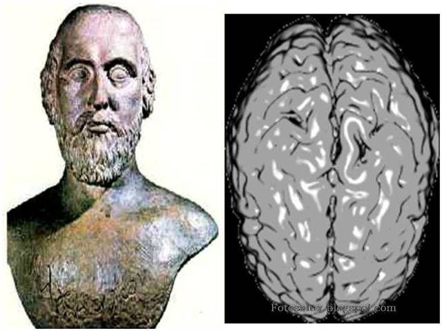 CULTURA GRIEGA  ALCMEÓN DE CROTONA (500 – 450 A. C.)