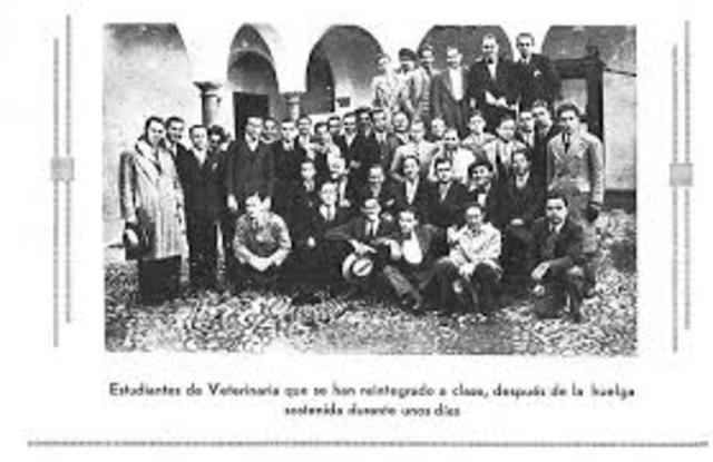 veterinarios oficiales