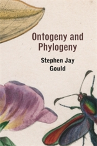 Ontogeny and Phylogeny