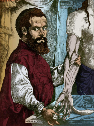 Andreas Vesalius