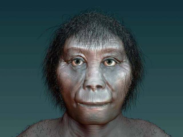 Homo Erectus
