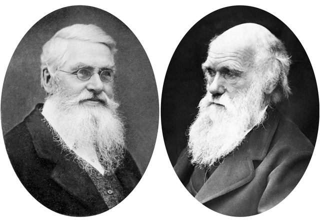 Charles Darwin, Alfred Russel Wallace