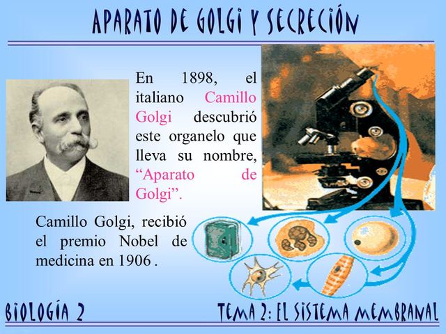 Camilo Golgi "La técnica de impregnación argéntica de Golgi." (Scielo -Orlando Torres fernández 2006)