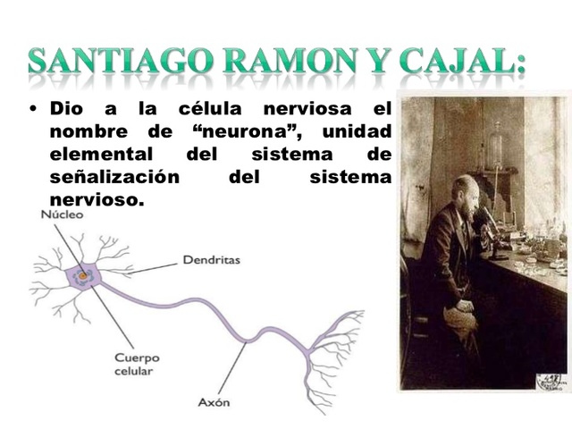 Santiago Ramón y Cajal, neurocientífico y pintor (scielo 2015 - Leonardo Palacios Sánchez)