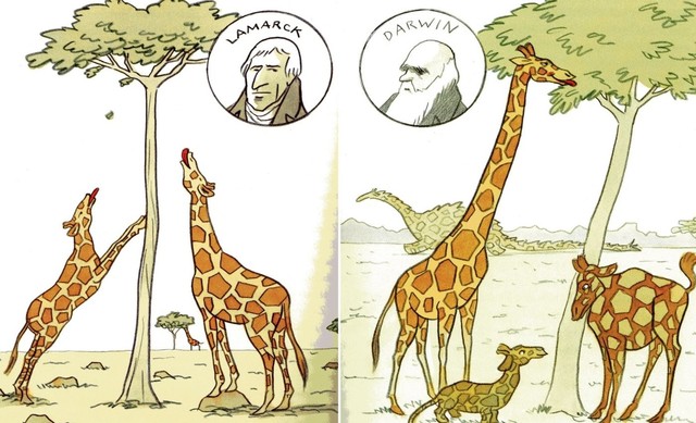 Lamarck y Darwin