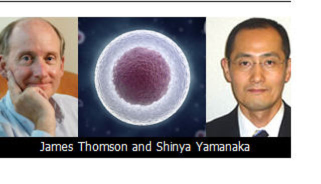 James thompson y shinya yamanaka